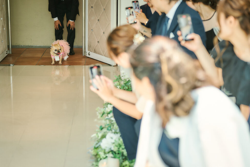 お子様と愛犬と一緒に　Family Wedding　